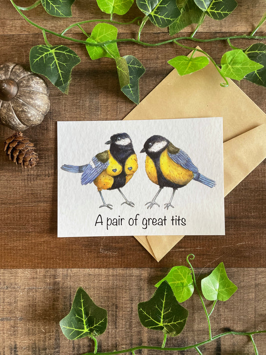 A Pair Of Great Tits - Postcard