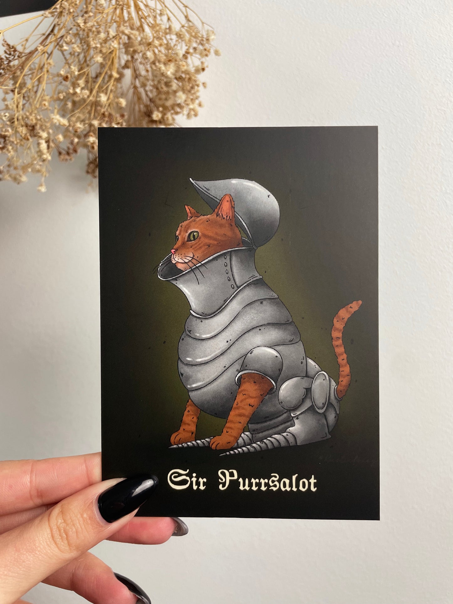 Sir Purrsalot Postcard