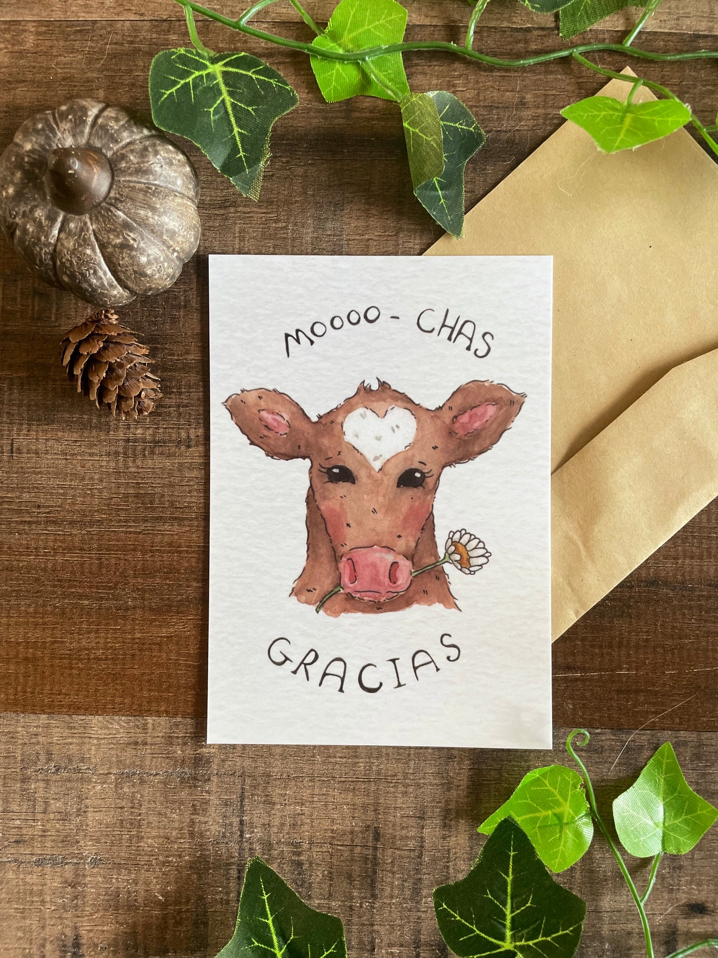 Moooo Chas Gracias - Postcard