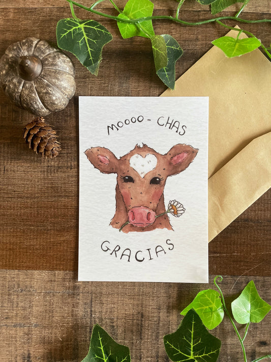 Moooo Chas Gracias - Postcard