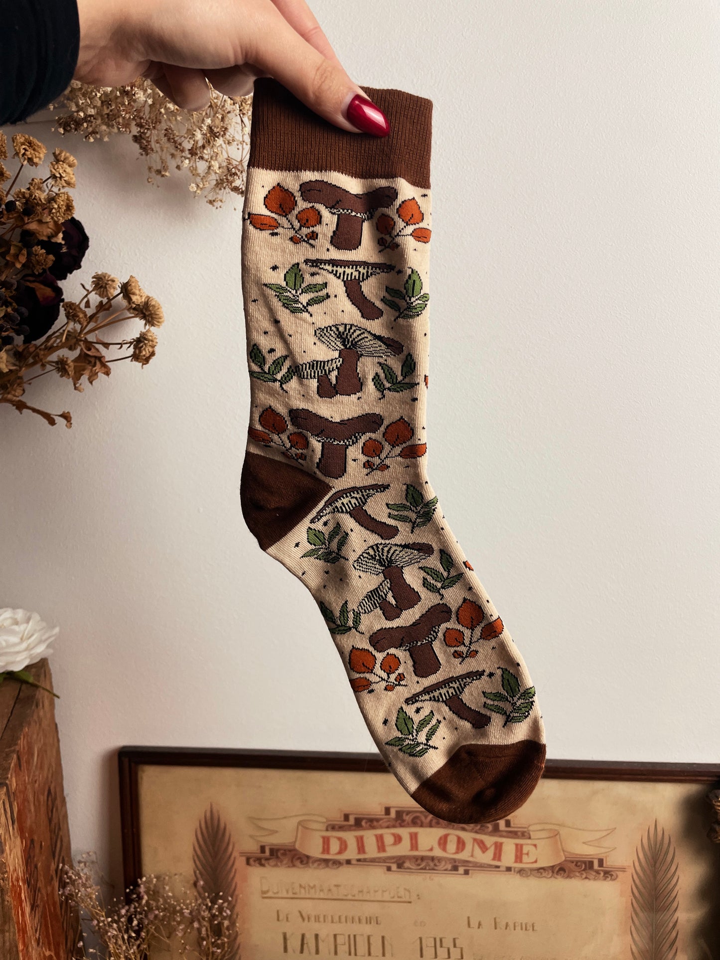 Lactarius Socks