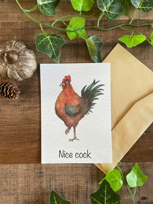 Nice Cock - Postcard