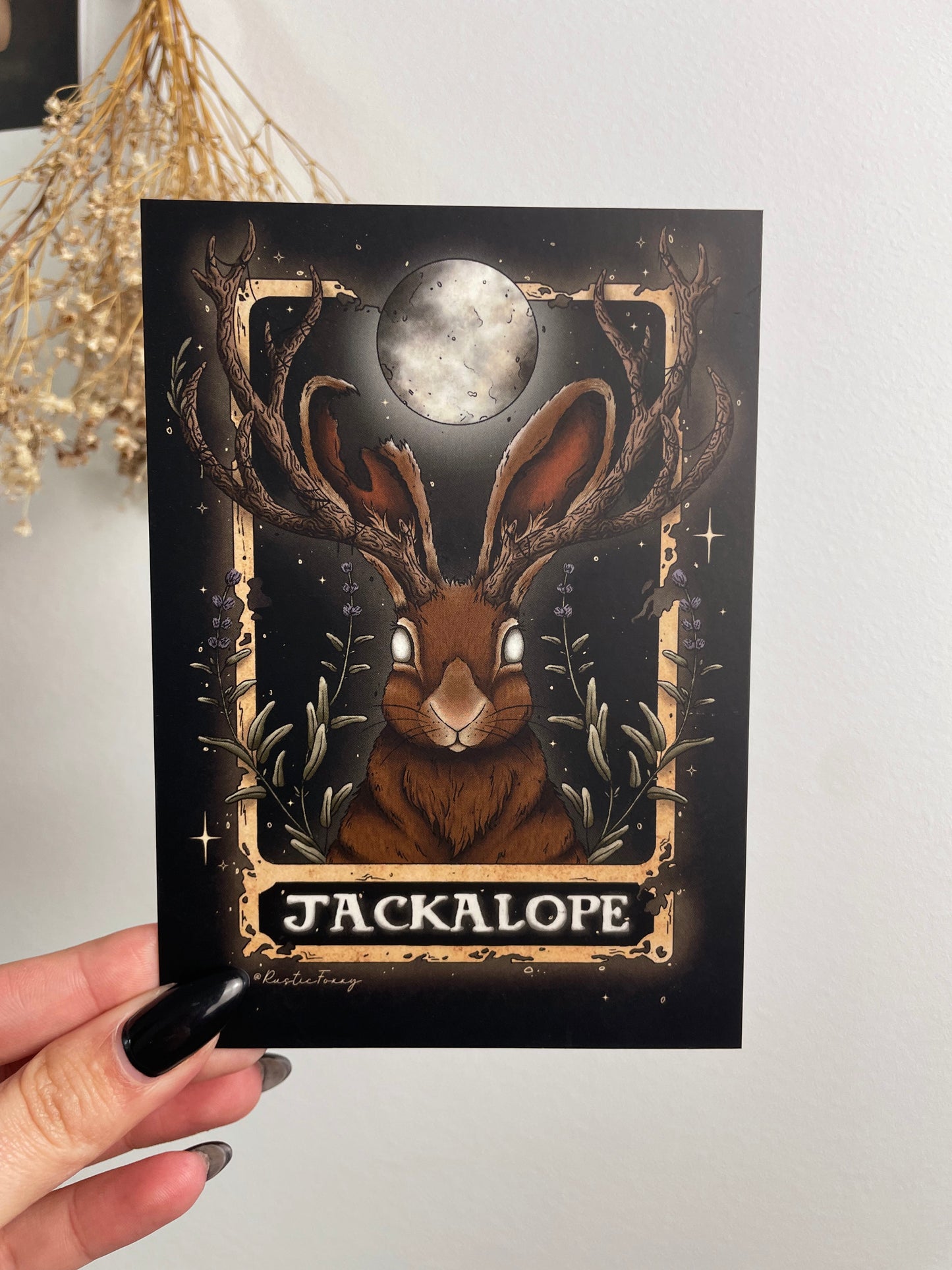 Jackalope Tarot Postcard
