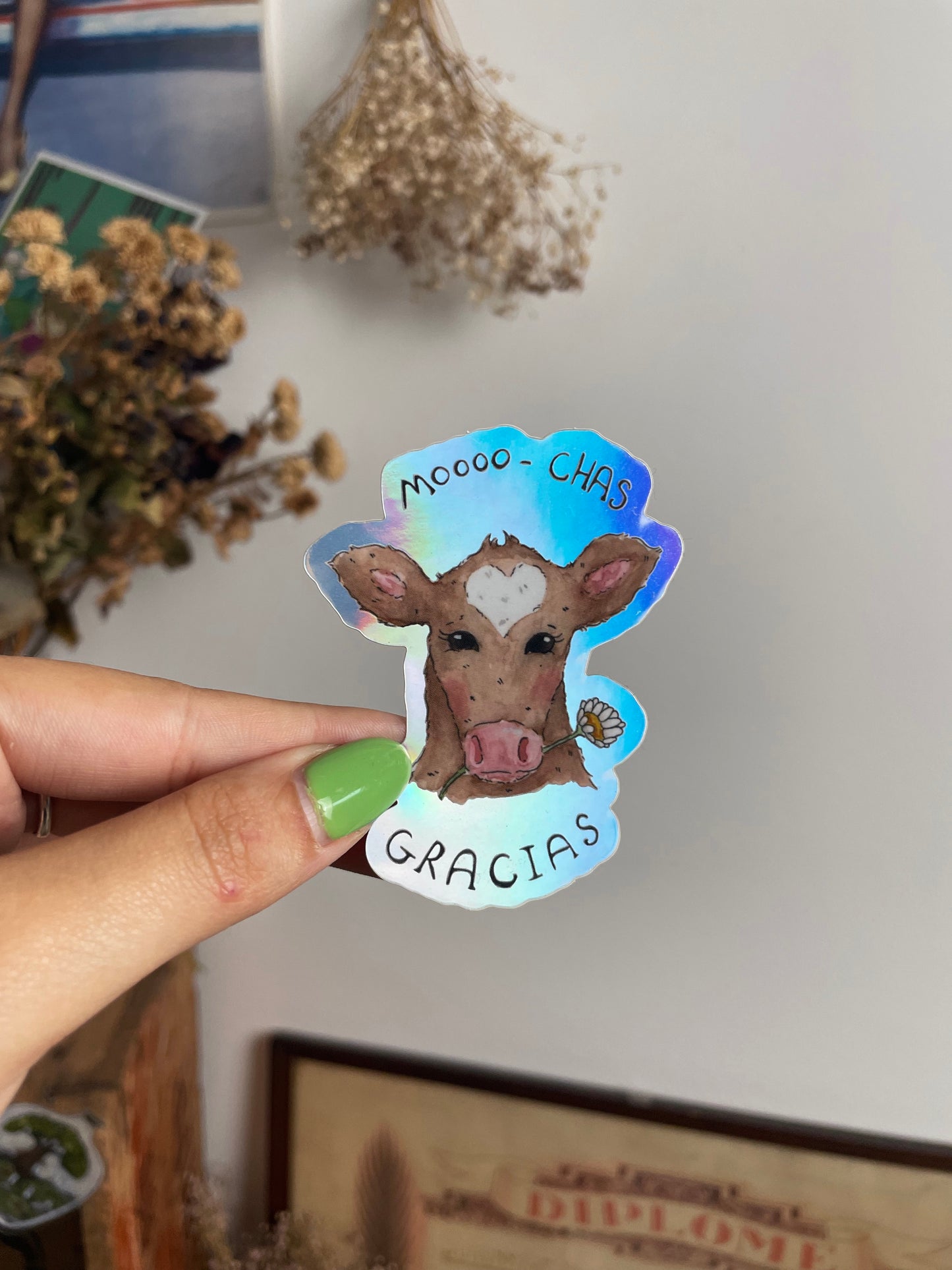 Mooo-Chas Gracias Cow Sticker