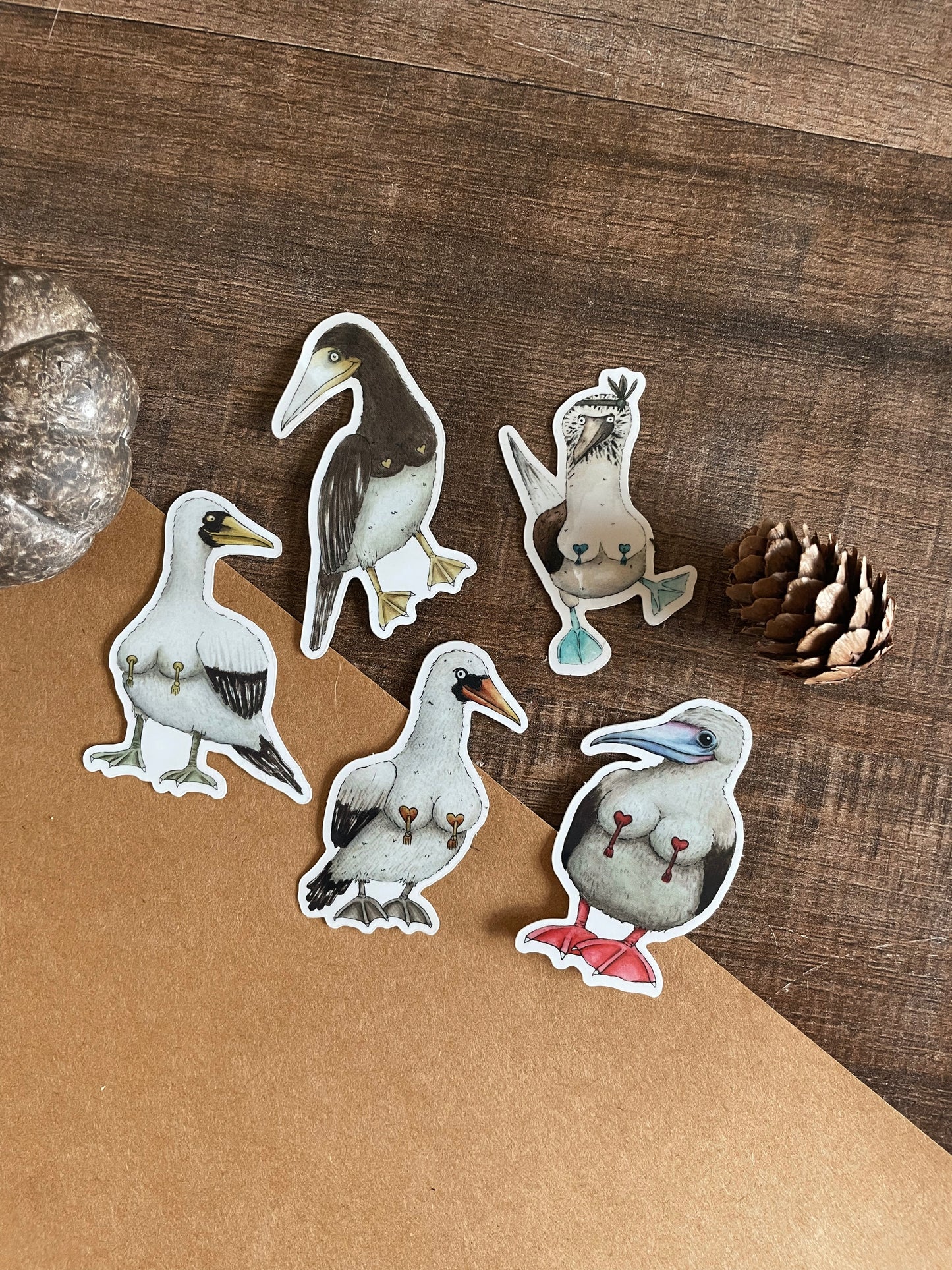 Birdlesque Boobies - Sticker