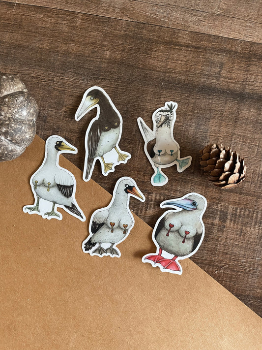 Birdlesque Boobies - Sticker