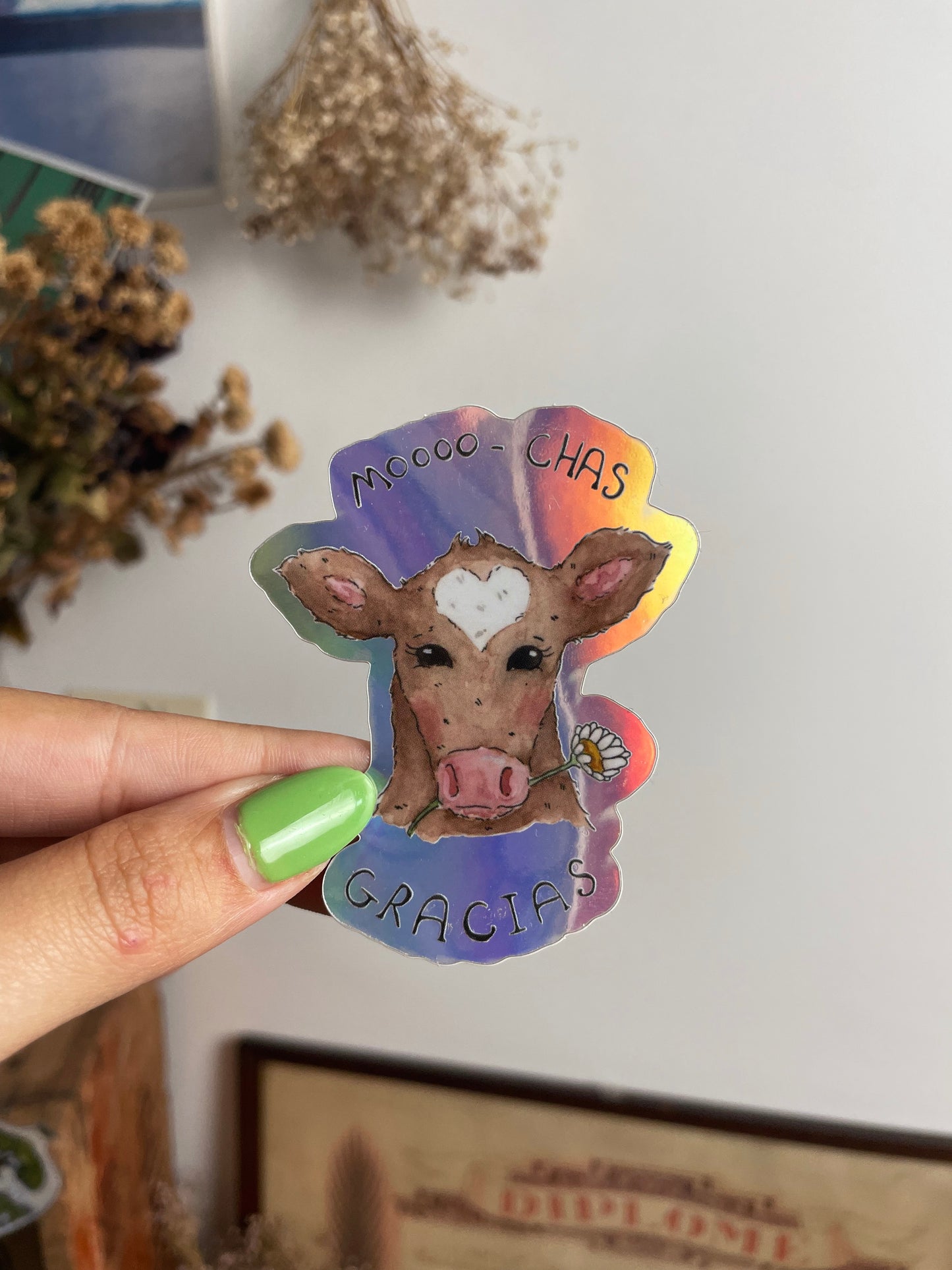 Mooo-Chas Gracias Cow Sticker