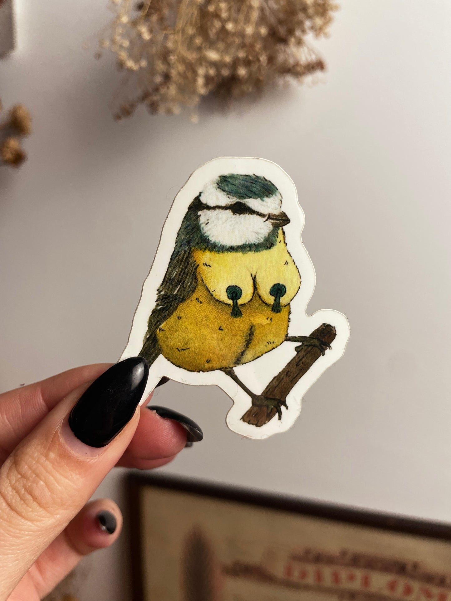 Birdlesque Blue Tit sticker