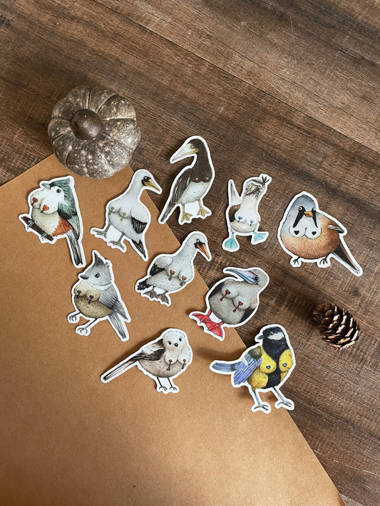 Birdlesque Birds Sticker Pack - Sticker
