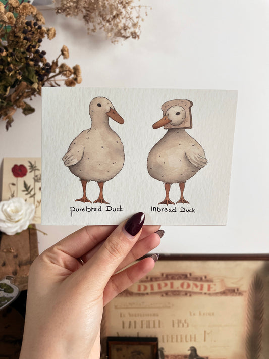 Inbread duck - card