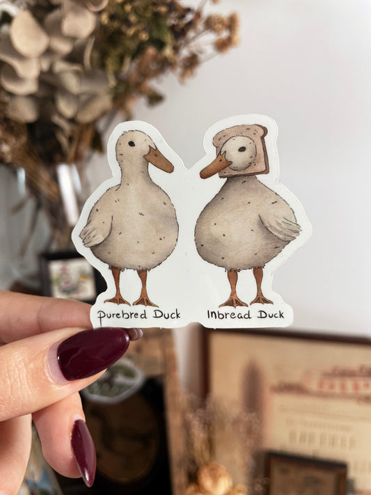 Inbread duck - sticker